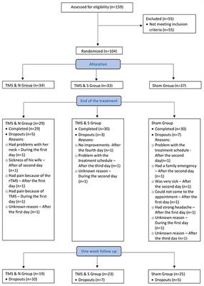 Accelerated Intermittent Theta Burst Stimulation in Smoking Cessation: Placebo Effects Equal to Active Stimulation When Using Advanced Placebo Coil Technology